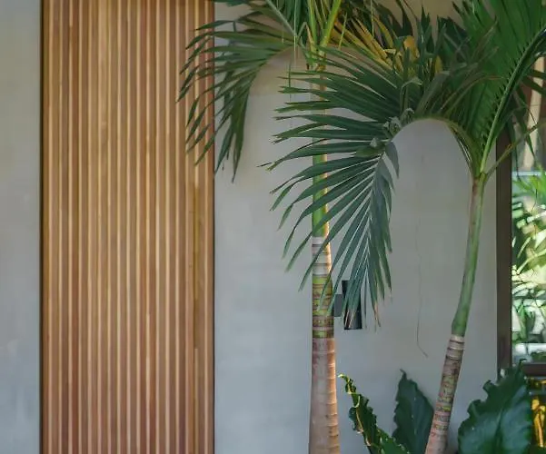 别墅 Ohlala - Luxury Tropical Escape In Pererenan