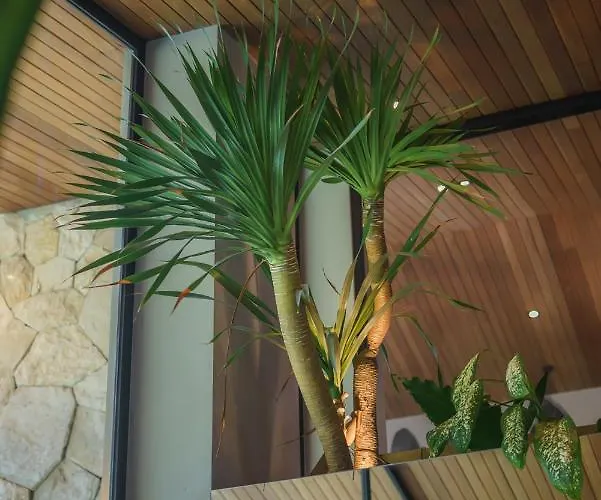 别墅 Ohlala - Luxury Tropical Escape In Pererenan *